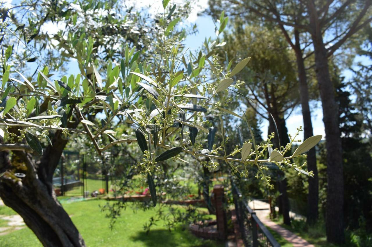 Casale Asciolo Bed and Breakfast Bagno a Ripoli Buitenkant foto